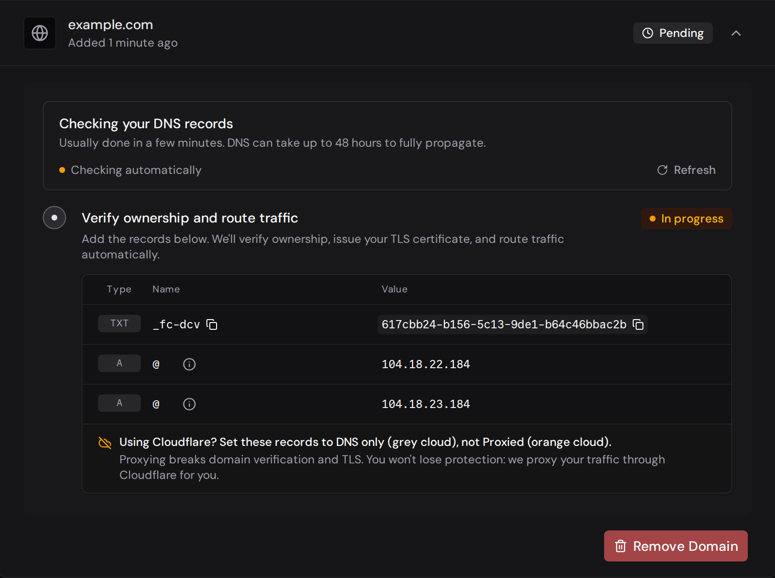 Pending custom domain with TXT and A records, copy controls, and automatic DNS verification in progress